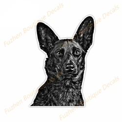 Fuzhen – décalcomanies de Boutique, accessoires extérieurs pour chien de berger néerlandais, VAN créatif, autocollants de voiture, imperméables, animaux Hip Hop 