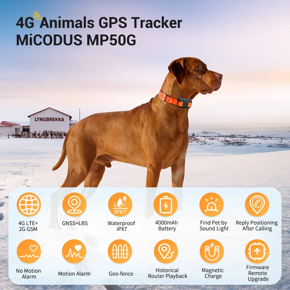 Pet GPS Tracker 4G 4000mah Long Battery Life Waterproof Dogs GPS Sound Light Tracking Hound Location Device MiCODUS MP50G