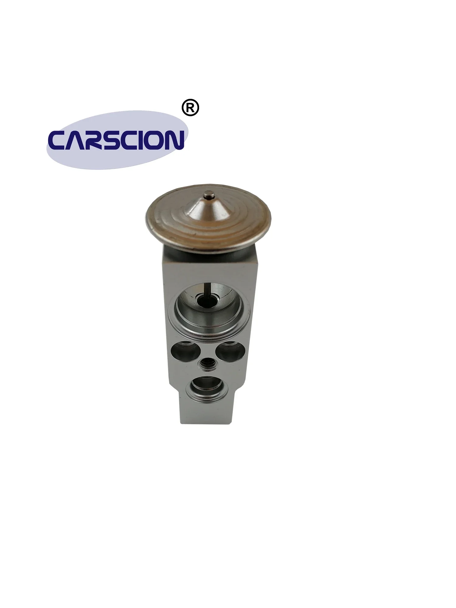 CARSCION Expansion Valve,Fit VOLVO S60,V60,XC60,S80,V70/III/Mk,XC70,Land Rover,Freelander 2,31291817,30780313,30733930,DXV0020