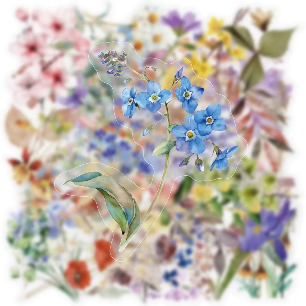 50 stücke PET Blume Aufkleber Natürliche Pflanzen Dekoration Laptop Telefon Fall Sammelalbum Stationäre Transparente Aufkleber Spielzeug Geschenk Kinder – Detail 3