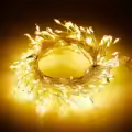 Warm Light