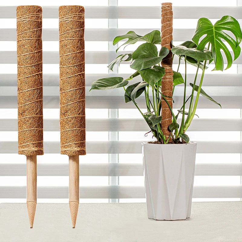 Pflanzenmoos Kokosfaser-Stäbe Biegbare Kletterpflanzen-Stütze Verlängerung Palmenranken-Stäbe für Innenbereich Balkon Garten Hof Blumendekoration – Detail 3