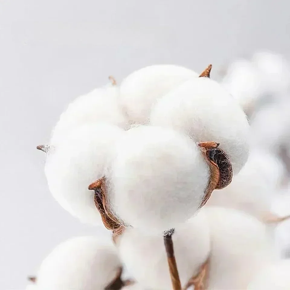 2026 새로운 핫 세일 래퍼 Dellafuente Pa Las Alegrias 남성 및 여성 프린트 코튼 고품질 빈티지 캐주얼 티셔츠