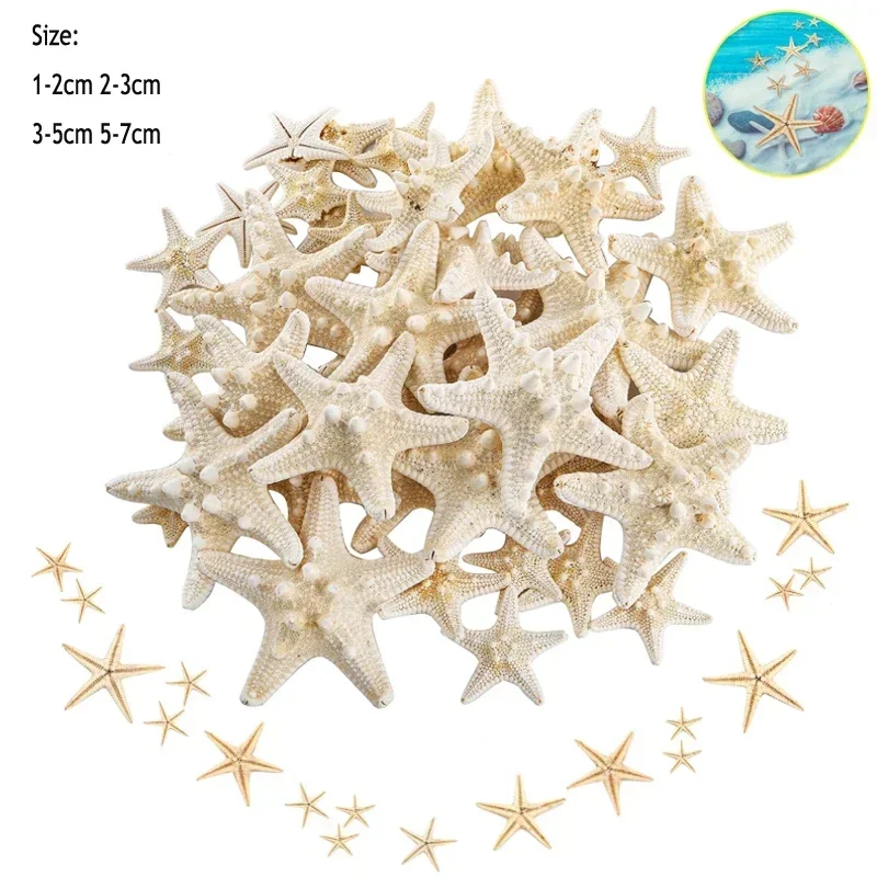 Hot new Natural Starfish Seashell Beach Craft Natural Sea Stars DIY Beach Wedding Decoration Crafts Home Decor Epoxy Natural Shell Ornaments