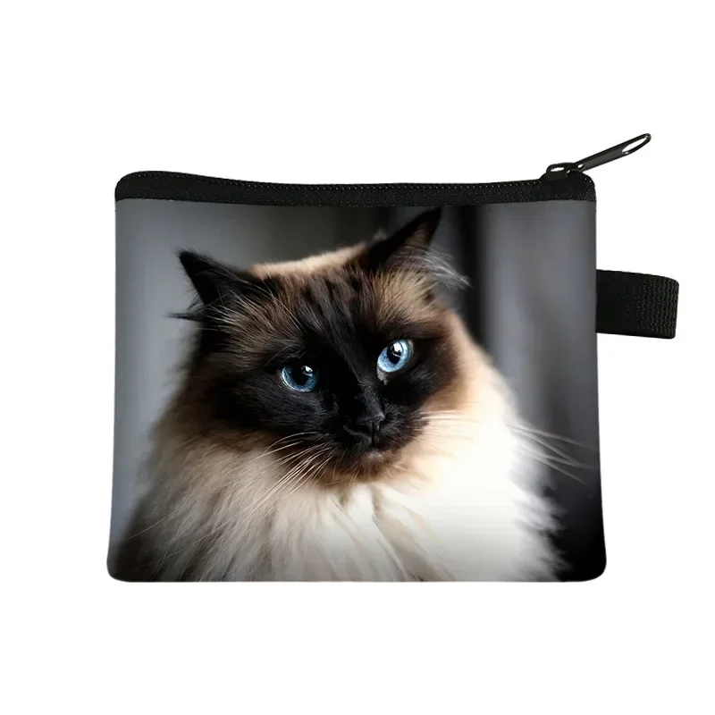 Cartoon Cat Print Coin Purse and Card Holder