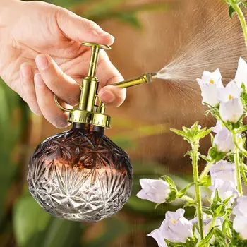 240ml Glass Spray Watering Bottle 3