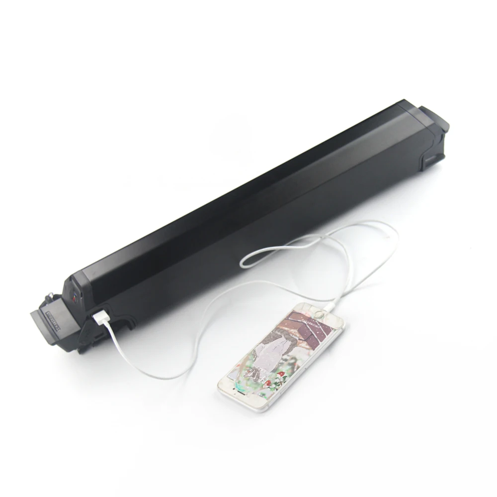 

E-scooter REENTION DORADO 36V 14Ah lithium battery pack