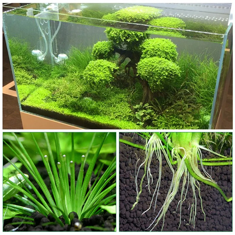 Aquarium Plants Soil Decoration Fish Tank Water Plant Fertility Substrate Sand Gravel Moss Grass Lawn Accessories