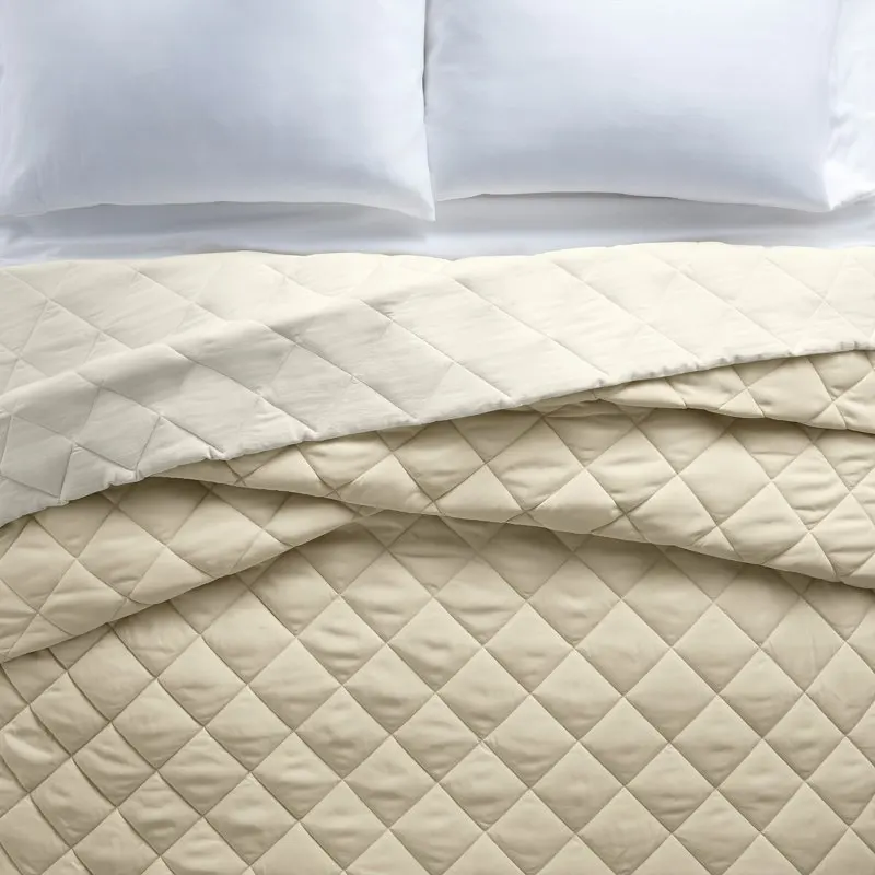 

Lightweight Down Alternative Comforter, Beige, Full/Queen