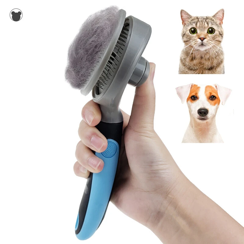 How Do You Disinfect Dog Grooming Tools
