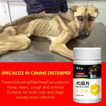 Specializzato in distemper canini, vomito, diarrea, convulsioni, infezioni urinarie nei gatti e cani e parvovirus