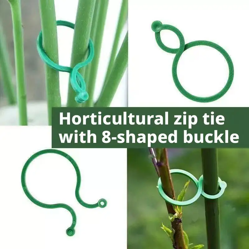 Plant Clips for Climbing Plants Tomato Trellis Garden Vine Strapping Bundled Buckle Clips Plastic Trellis Plant Support