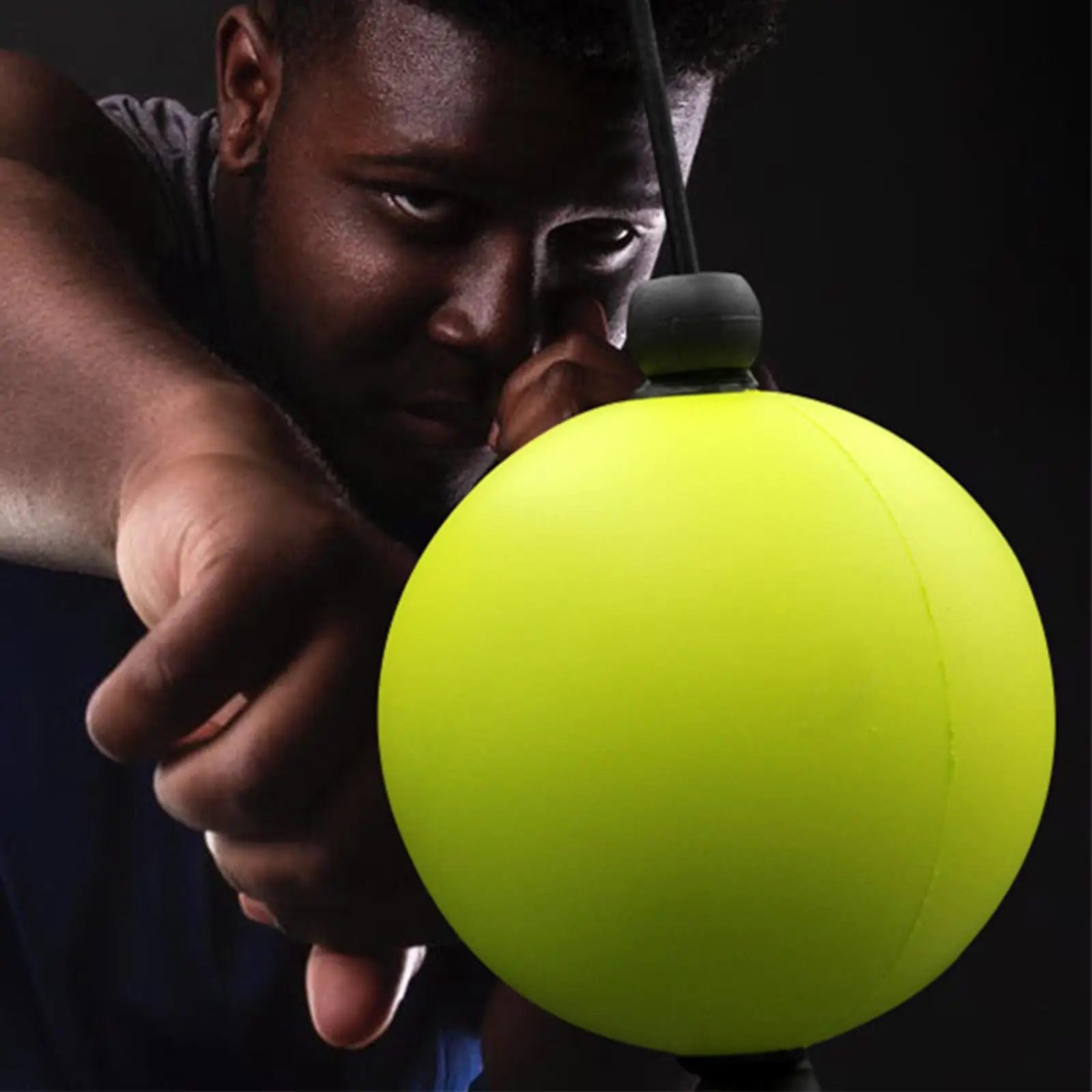 Boxing Punching Ball Speed Bag Reflex Ball Training Double End Mma