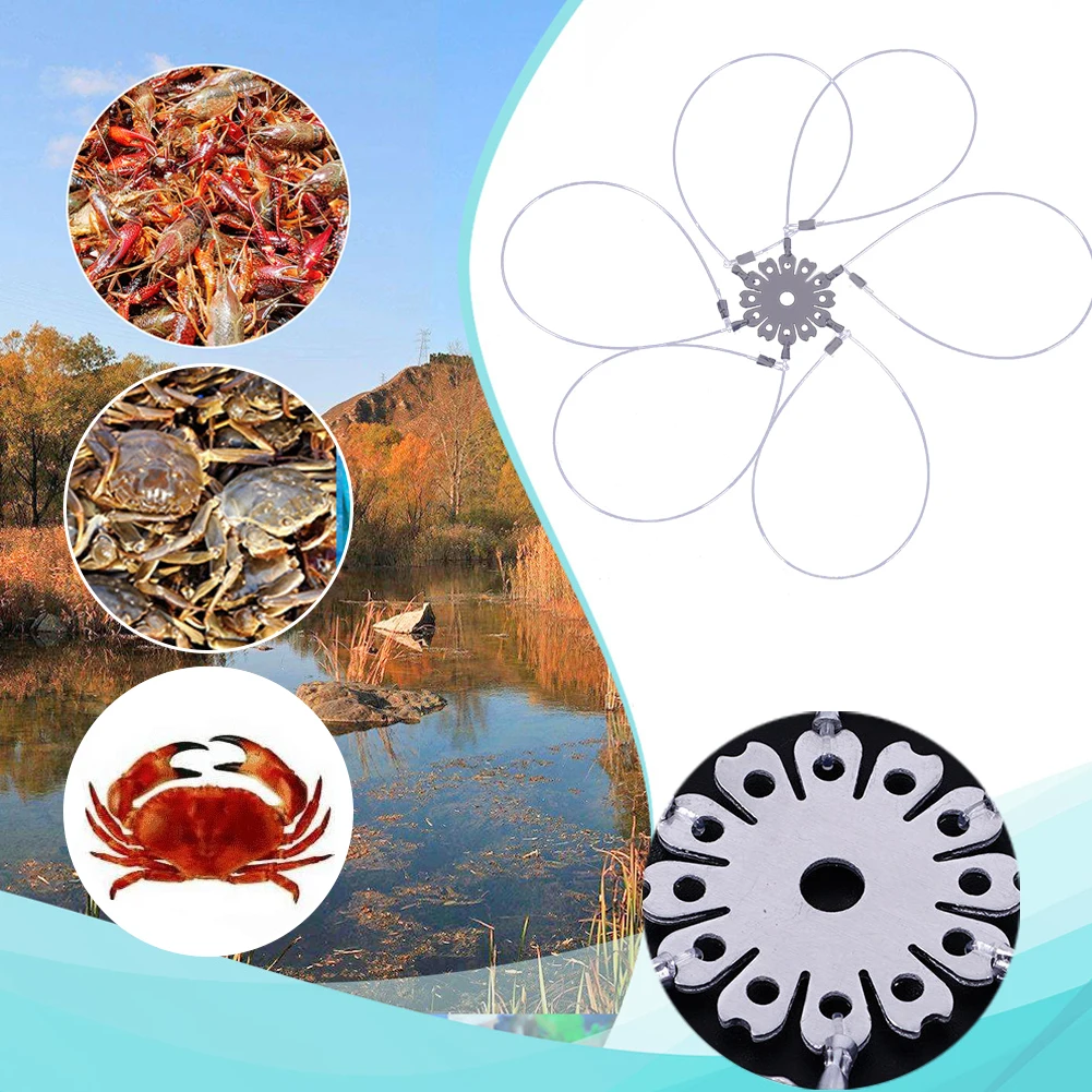 6/8 Rings Portable Crab Grabber Stainless Steel Crab Fishing Cages Feeder  Fishing Crab Cast Trap Round Fishing Crab Tackle - AliExpress