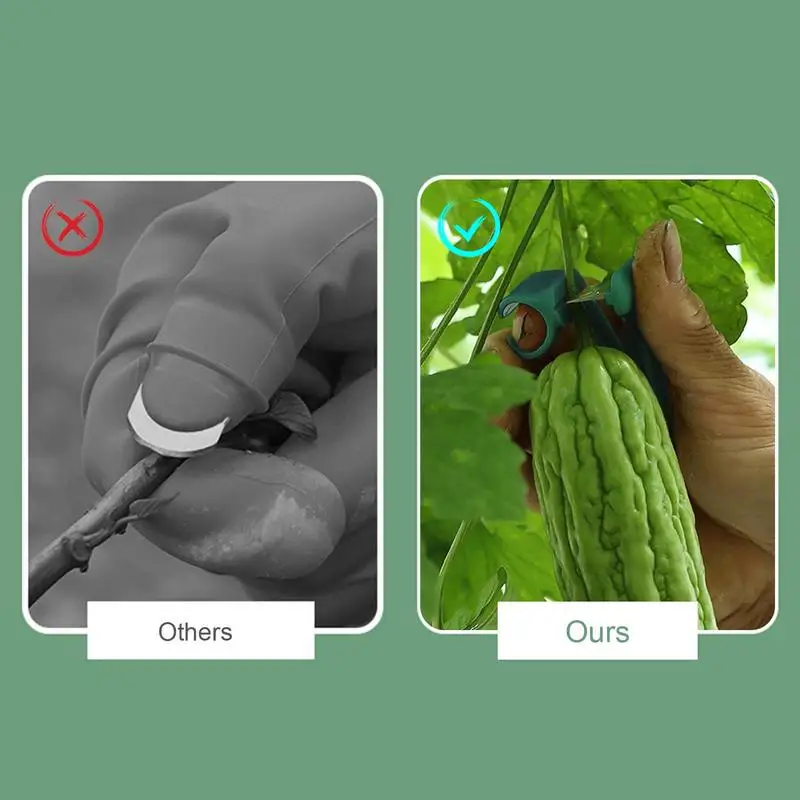 Thumb Pruner Thumb Knives Harvesting Tool Fruit Picking Nail Gardening Separator Fitting Finger Knives for farm greenhouse