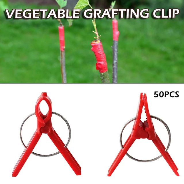 50 Dcs Műanyag Oltó Klipek Kerti Növényi Tartó Zöldségvirág Szőlő Szárak Javítás Kellékek