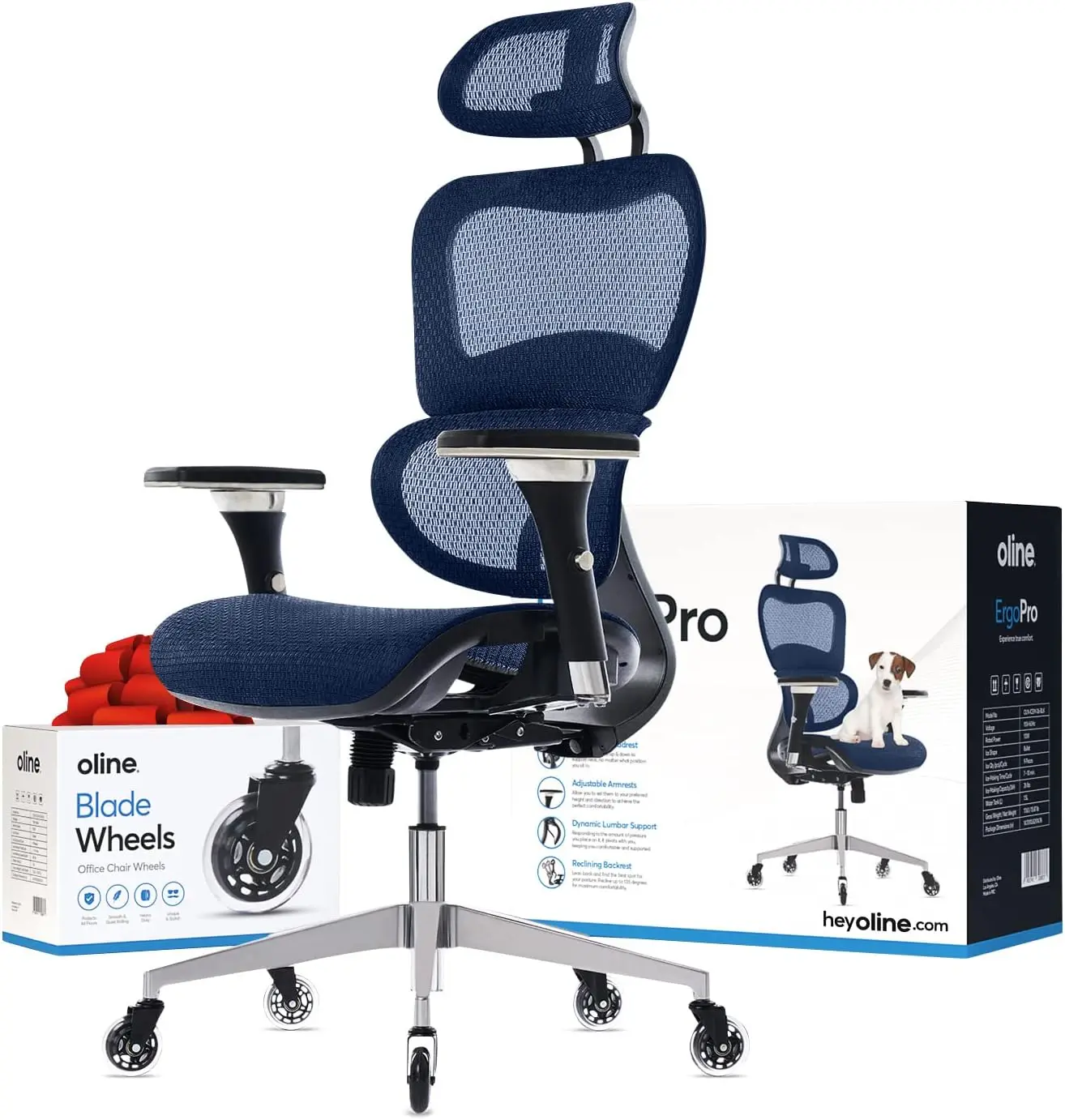 

Oline ErgoPro Ergonomic Office Chair - Rolling Desk Chair with 4D Adjustable Armrest, 3D Lumbar Support and Blade Wheels - Mesh