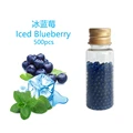 500pcs blueberry