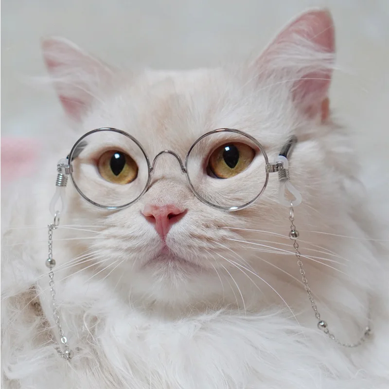 Pet Cat and Dog Glasses Chain on Neck Pearl Golden Balls Trendy Sven Cat Muppet Blue and White Cat Glasses Decorations