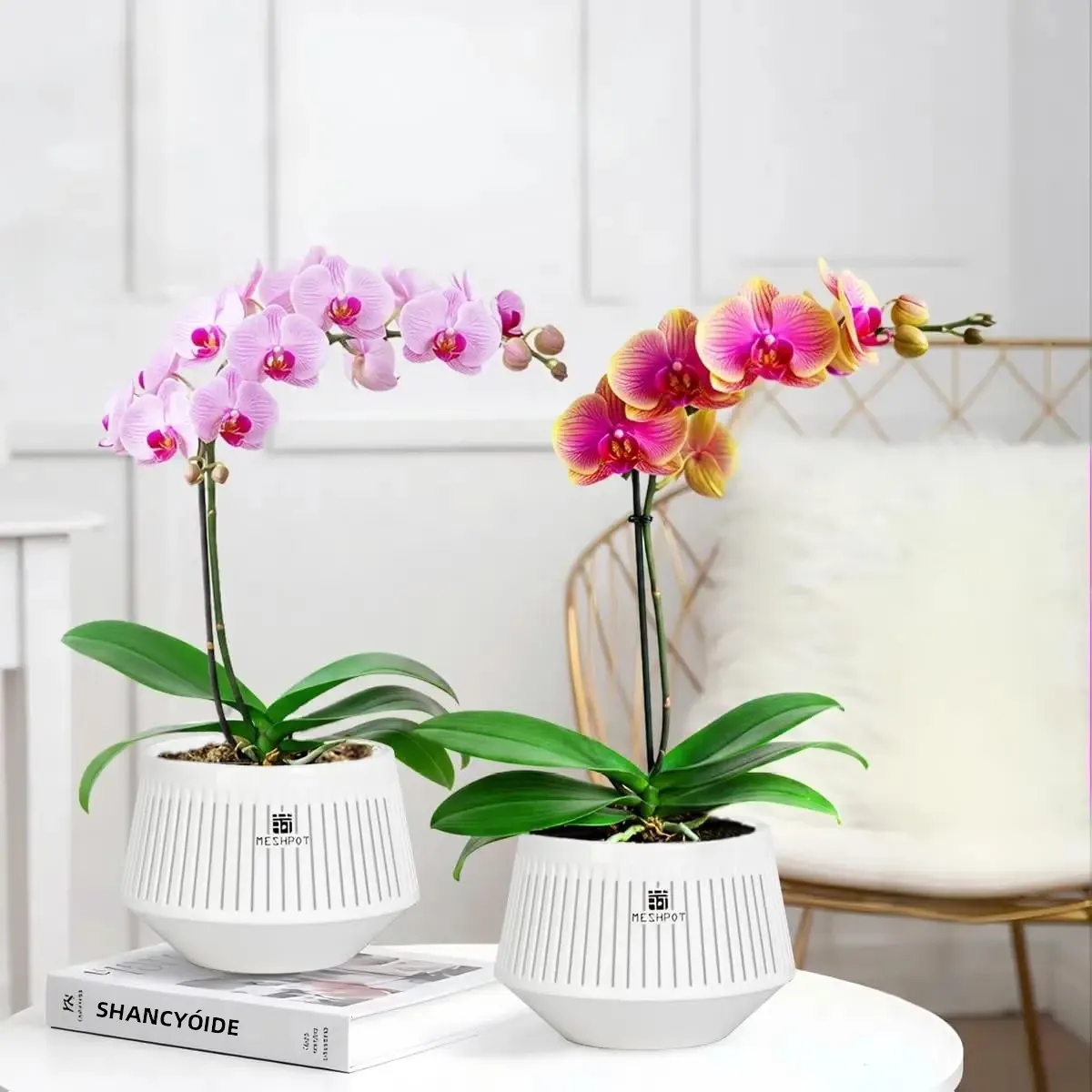Paquete De 4 Acetas De Orquídeas De 6.8 Pulgadas Con Agujeros Y Platillos, Acetas De Orquídeas