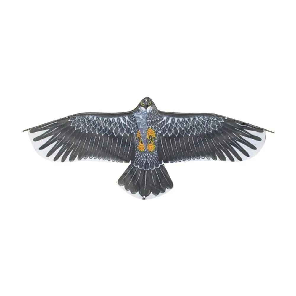 Large Eagle Bird Kite 2