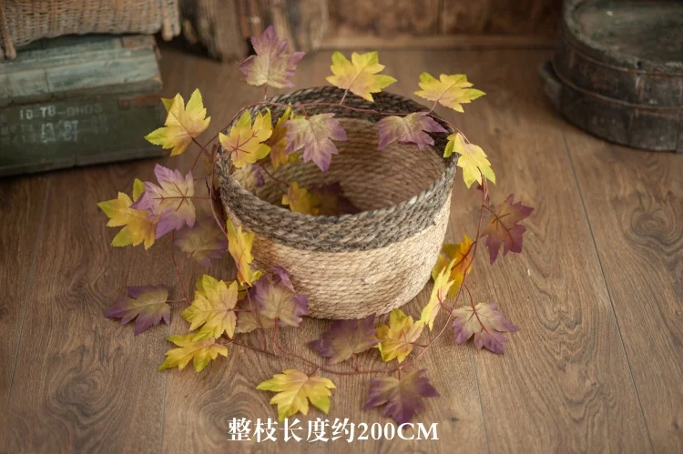 Newborn Photography Prop Basket Stuffer Simulated Green Plants Accessorie Christmas Daisy Rattan Strip Vine Studio Shooting Flow cheap newborn photography near me