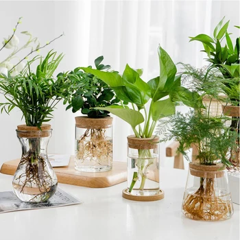 Mini Hydroponic Flower Pot Transparent Terrarium Glass 1