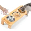 Stainless Steel Elevated Cat Bowls Stand Set for Dry Wet Food Water Double Handles Cat Food Bowl Kit Easy Cleaning for Pet Small