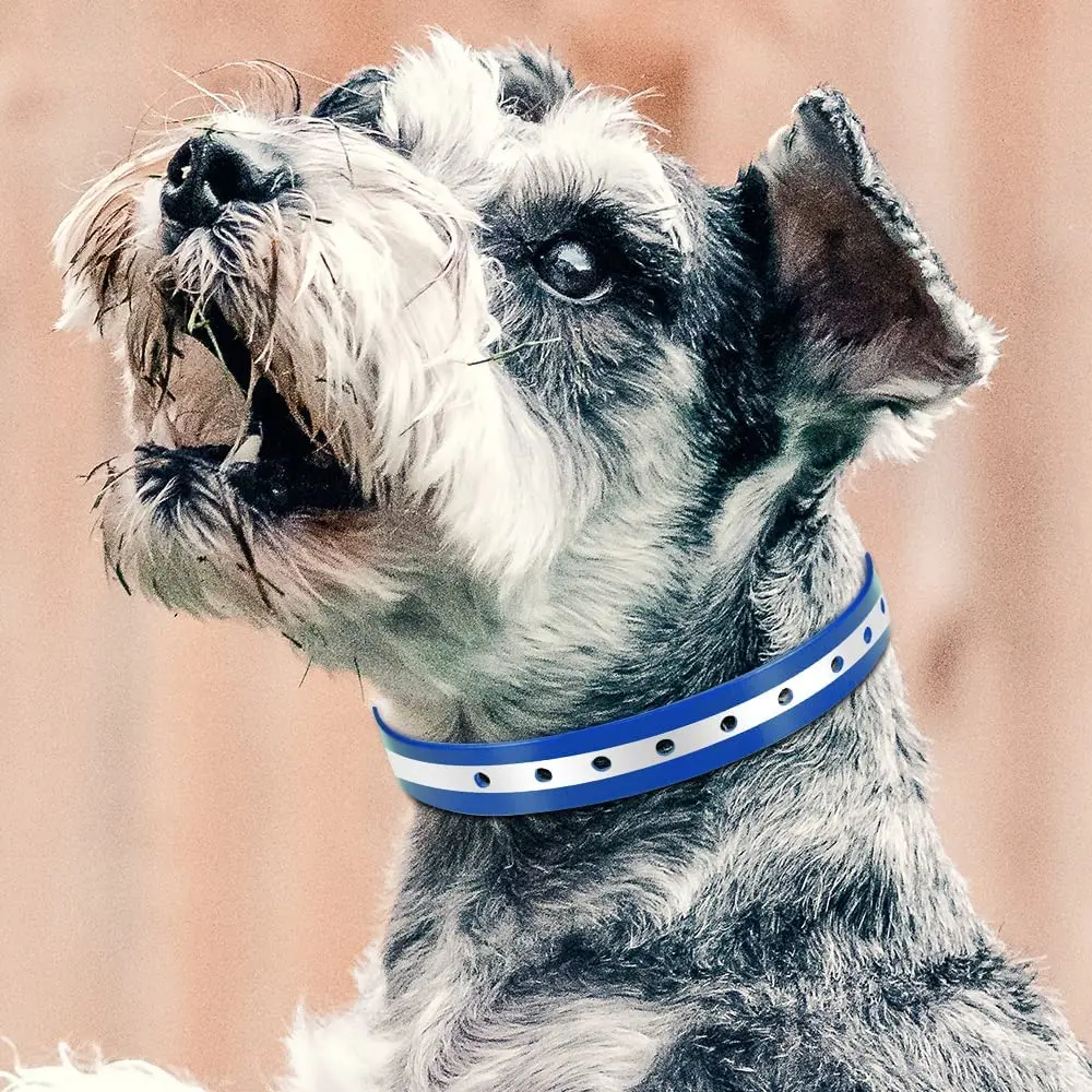 Pet Dog Training Collar Dog Collars Strap Replacement Collar for Shock Reflective Blue & Orange TPU Collar Adjustable Classic Dog Collar Strap pet dog training collar