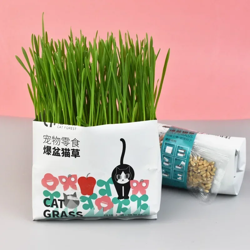 Cat Grass Cat Snacks Hair Ball Grass Potted with Seeds Promote Digestion