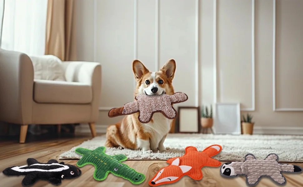 no stuffing dog toys pack