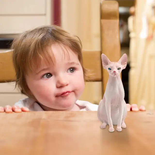 Carcasa Para IPhone 13 Con Diseño De Gato Sphynx - Funda De Dos Piezas, Resistente A Arañazos Y Caídas