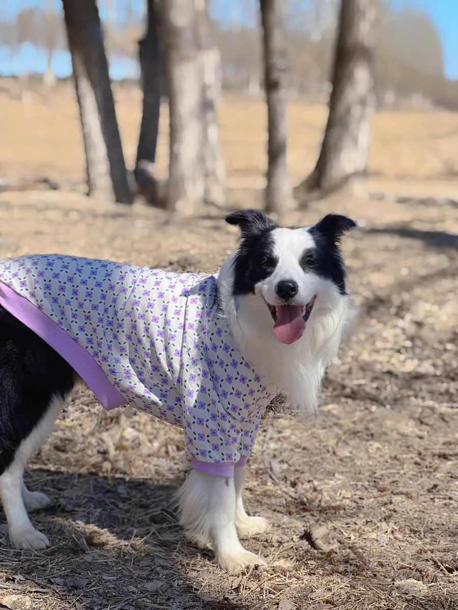 Thin Breathable Cotton Pet Pullover Clothes - PeticaDeals