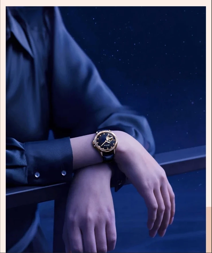 Neue Montre Femme Top Marke Luxus Mode Mechanische Uhr Gypsophila Damen Skeleton Automatische Uhr Damen – Detail 9