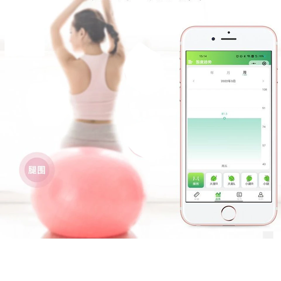 Mètre Ruban Connecté RENPHO – Bluetooth – Numérique – Corps – R-Y001 – Gris