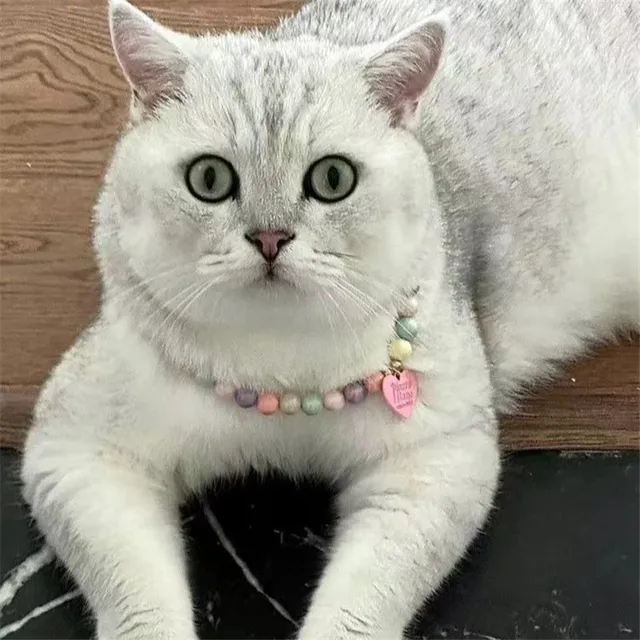 Dog Cat Pearls Necklace Collar with Bling Heart Charm Pet Dog Jewelry Accessories Cute Flower Cat Collar Pet Grooming Accessory 4