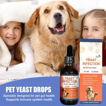 How to apply dog coat and skin care drops