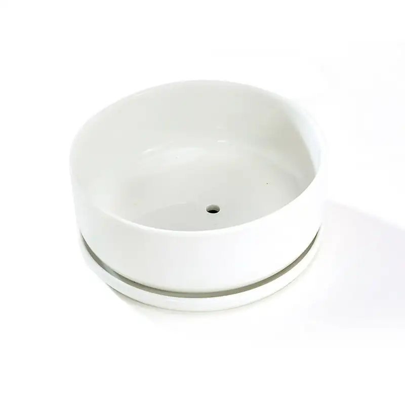 

x 6" x 2" Round White Ceramic Planter (2 Pack)