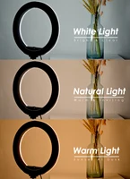 Tripod With LED Ring Light For Phone Tripod Camera Stand Selfie Photography Light LED Lamp Color Photo Studio For YouTube Live - Image 2