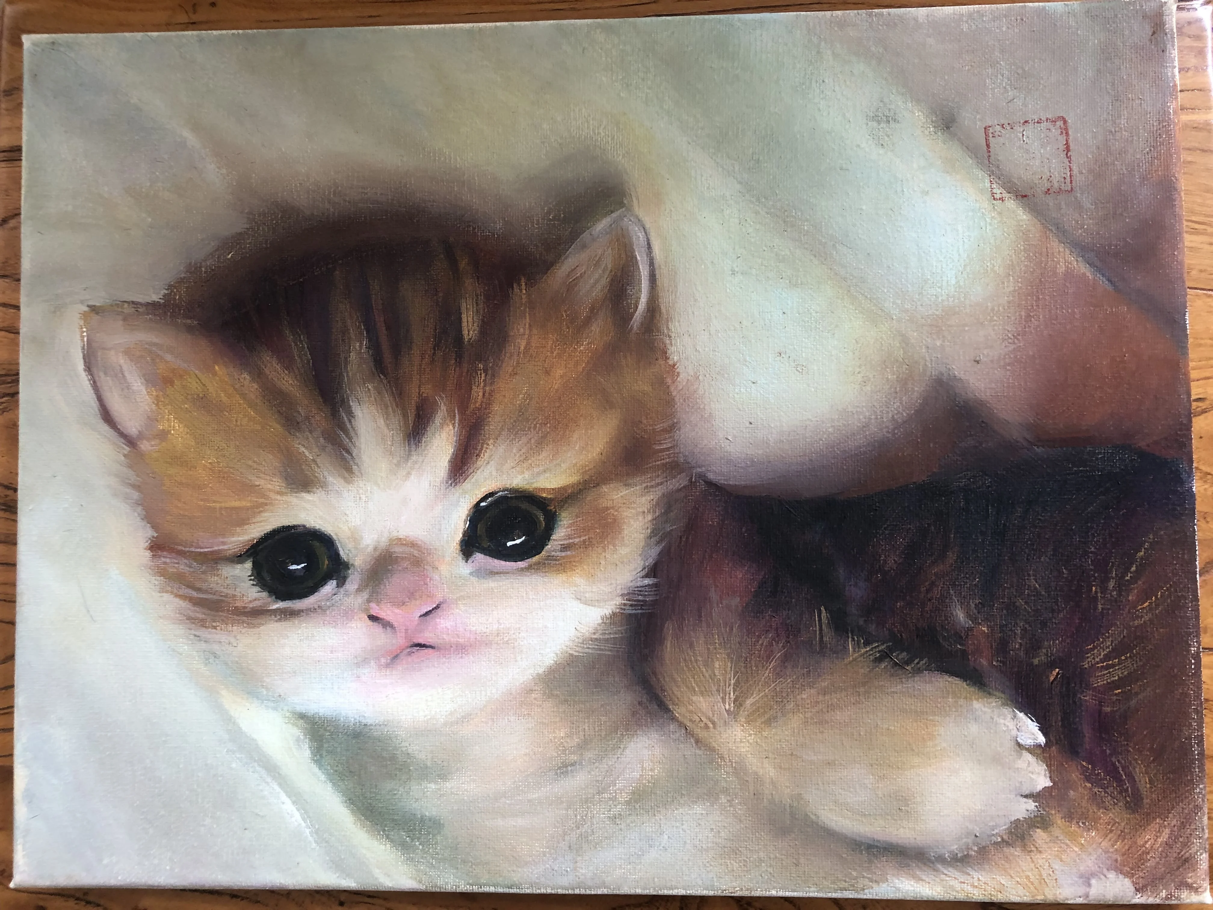 

Home Room Pictures Wall Decoration Bedroom Decorative Oil Painting Hand-painted for Living Room Wall Decor Items Cat Art DIY