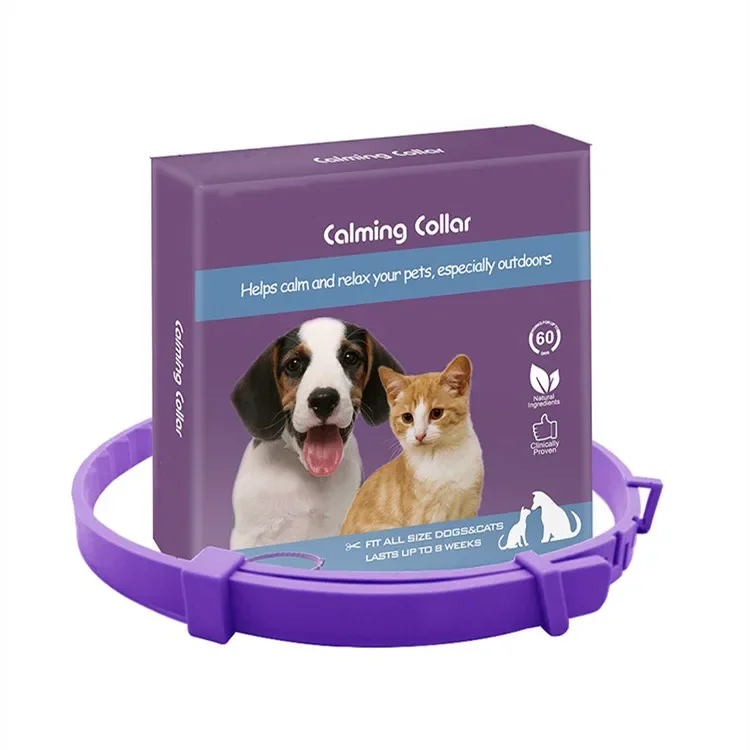 Cat 38cm HZ-Purple