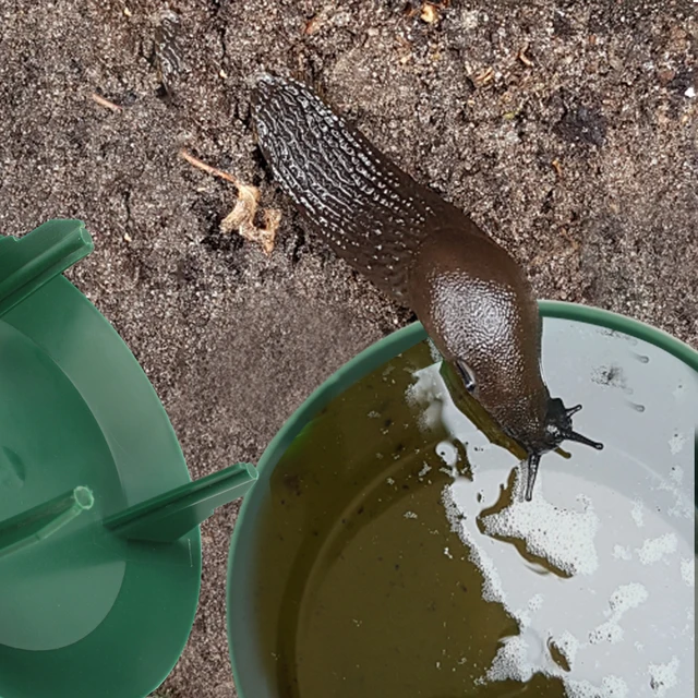 친환경 달팽이 트랩으로 정원을 보호하세요