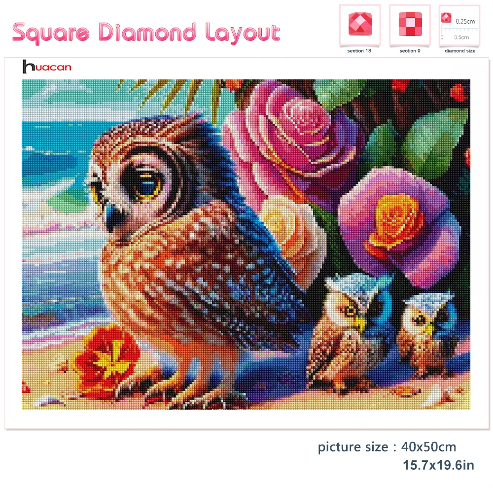 Huacan Full Square/Round Diamond Painting Kit Owl Rose Seaside