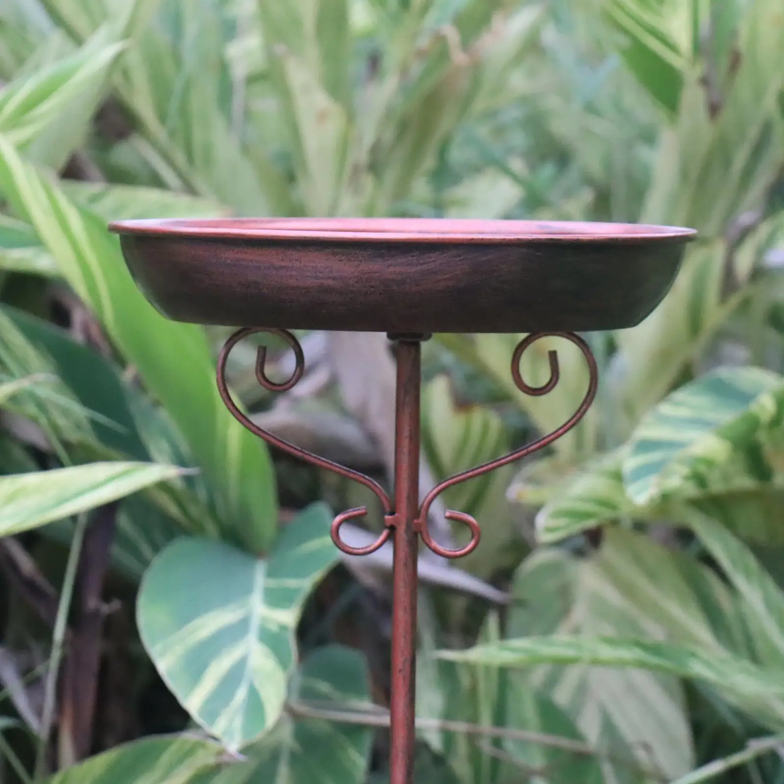 Bird Bath Vintage Style Lightweight Gift Water Bowl Birdfeeder Bird Feeder with Stake for Lawn Patio Courtyard Outdoor Decor Bird Bath Vintage Style Lightweight Gift Water Bowl Birdfeeder Bird Feeder with Stake for Lawn Patio Courtyard Outdoor Decor