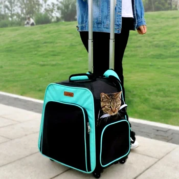 Large Comfortable Breathable Pet Transport Carrier