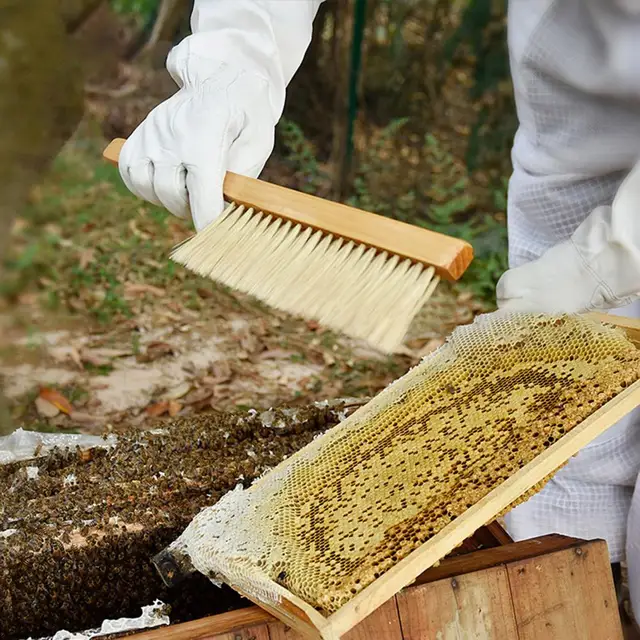 Méhkefe Kefe Dupla Sor Sörték Méhészet Többcélú Fa Fogantyúkefe Méhkatár -Szerszám Farmhoz - Image 3