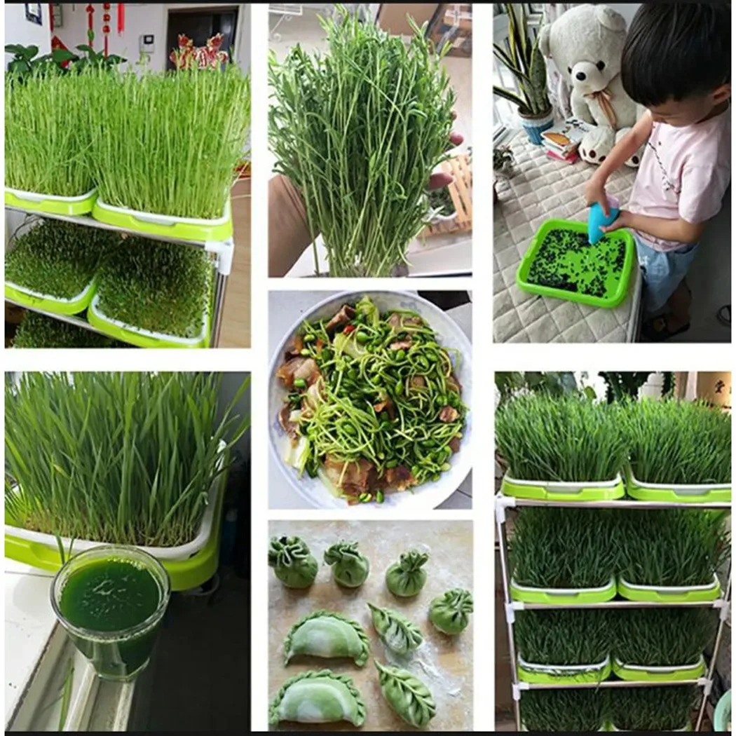 Microgreens-bandeja hidropónica para sistemas hidropónicos, sistema hidropónico para brotes hortícolas, bandeja para jardín, guardería en maceta - Imagen 4
