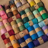 2mm Colored Cotton Rope DIY Handmade Woven Material Crochet Cotton Rope Tapestry Weaving Colored Ropes Decoration Solid Softness 2