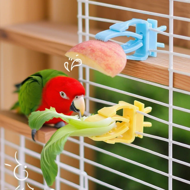 2/4pcs Set Pet Bird Food Holders Parrot Fruit Vegetables Clip Cuttlefish Bone Feeder Device for Pet Parrot Bird Cage Accessories