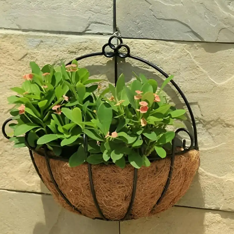

Replaceable Thick Coconut Liners Strong Water Absorption Coconut Fiber Liner for Hanging Planter Basket Garden Planting Supplies